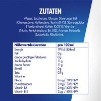 Red Bull Energy Drink zzgl. Pfand 2025 WINTER Edition | Fuji-Apfel - Ingwer